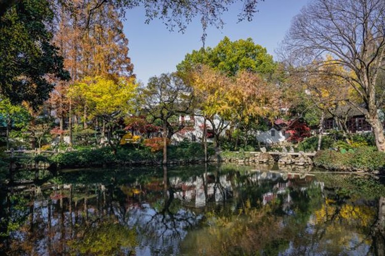 冬日“沪”水游,青浦新城:冬境绮梦,水韵流长 冬日“沪”水游,青浦新城:冬境绮梦,水韵流长