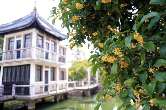 1021_130452_949.jpg 微信图片_20241021130350.jpg