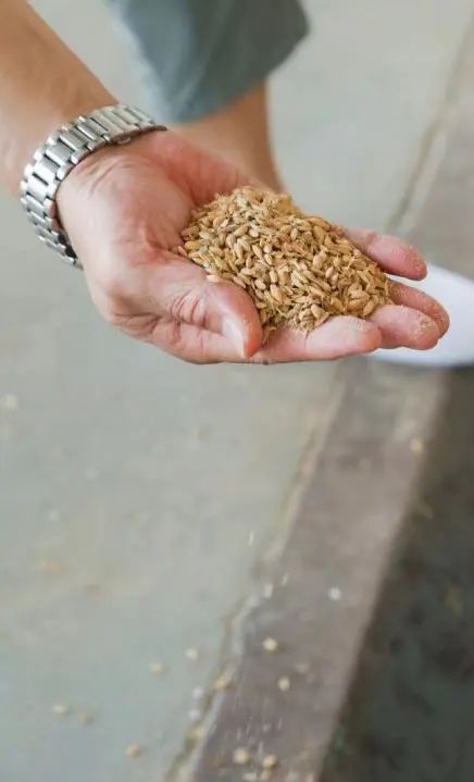 微信图片_20220815094118.jpg 微信图片_20220815094118.jpg