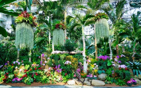 DSC09837.jpg DSC09837.jpg