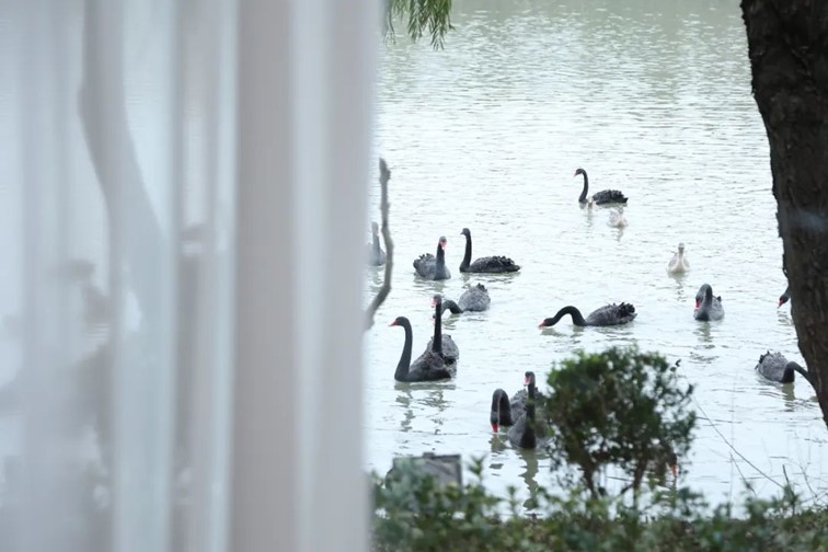 跟着半马游青浦|玩法多样,老少兼顾!让你的每一步都充满惊喜! 跟着半马游青浦|玩法多样,老少兼顾!让你的每一步都充满惊喜!
