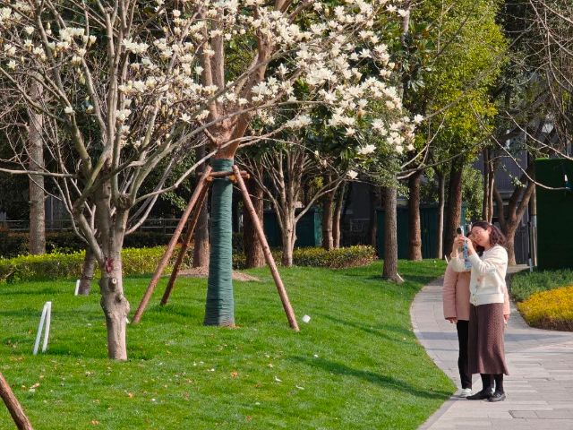 0317_160508_183.jpg 微信图片_2025-03-17_132253_247.jpg