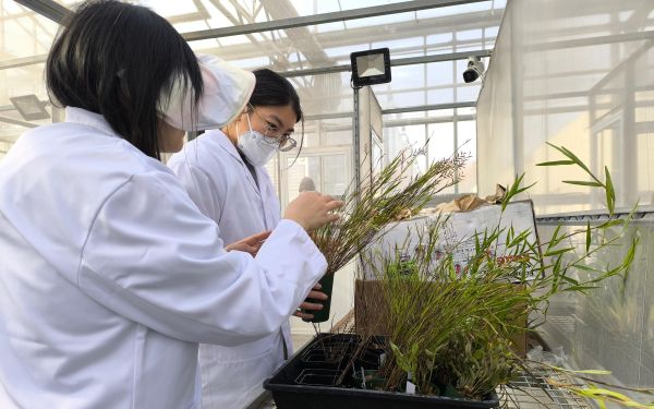 上海市林业部门完成2024年度国外引进植物监管任务1.jpg 上海市林业部门完成2024年度国外引进植物监管任务1.jpg