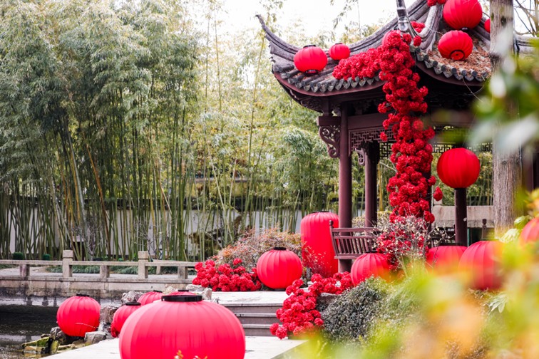 提一盏花灯入梦江南,来青浦用一场元宵灯海收官蛇年春节! 提一盏花灯入梦江南,来青浦用一场元宵灯海收官蛇年春节!