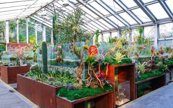 DSC09556.jpg DSC09556.jpg