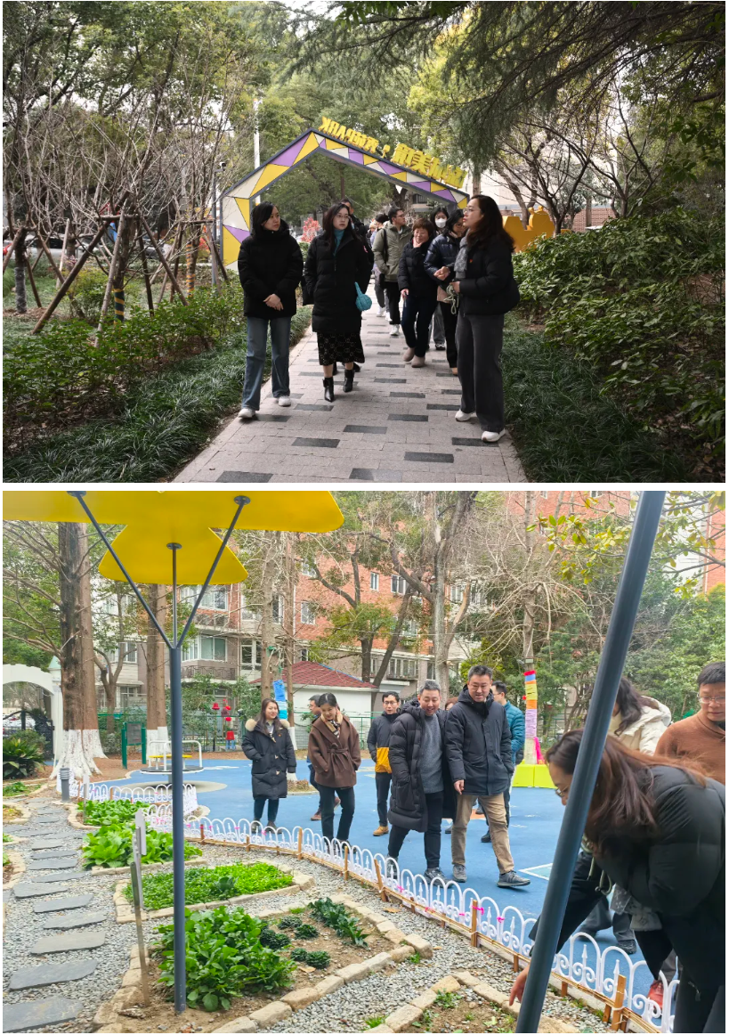 观察团.png 观察团.png