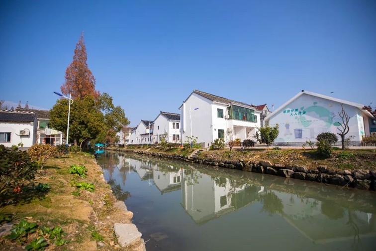 江南春景水一半,12处小流域绘青浦生态美域 江南春景水一半,12处小流域绘青浦生态美域