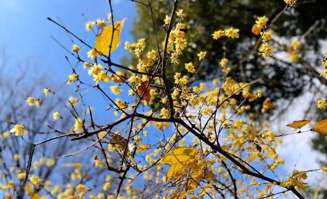 0120_141411_312.jpg 微信图片_2025-01-20_141248_491.png