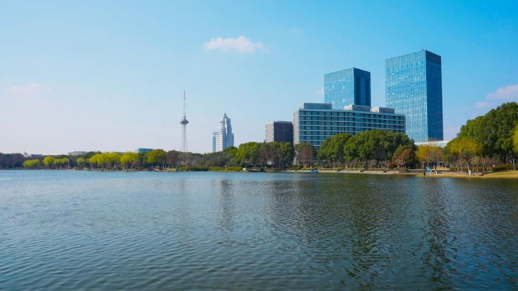 沪水畔,慢时光!梅花映水,到青浦赏梅品水 沪水畔,慢时光!梅花映水,到青浦赏梅品水