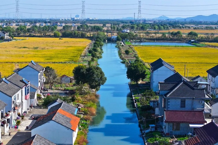 江南春景水一半,12处小流域绘青浦生态美域 江南春景水一半,12处小流域绘青浦生态美域