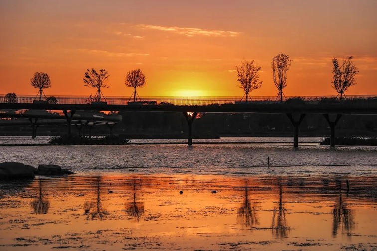 秋水伊人,来青浦,乘坐公共交通邂逅初秋水岸的一缕风凉! 秋水伊人,来青浦,乘坐公共交通邂逅初秋水岸的一缕风凉!