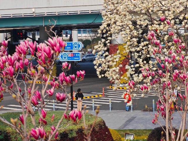 0317_160518_712.jpg 微信图片_2025-03-17_132255_960.jpg