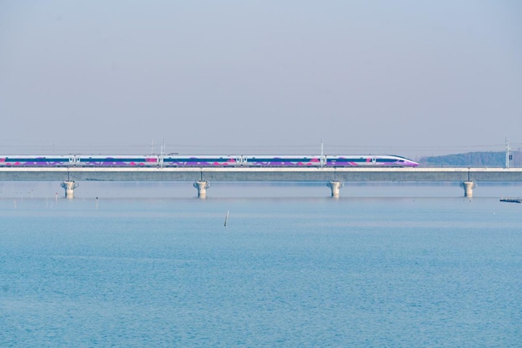 来青浦,骑行在青西“大河大湖”,太酷了! 来青浦,骑行在青西“大河大湖”,太酷了!