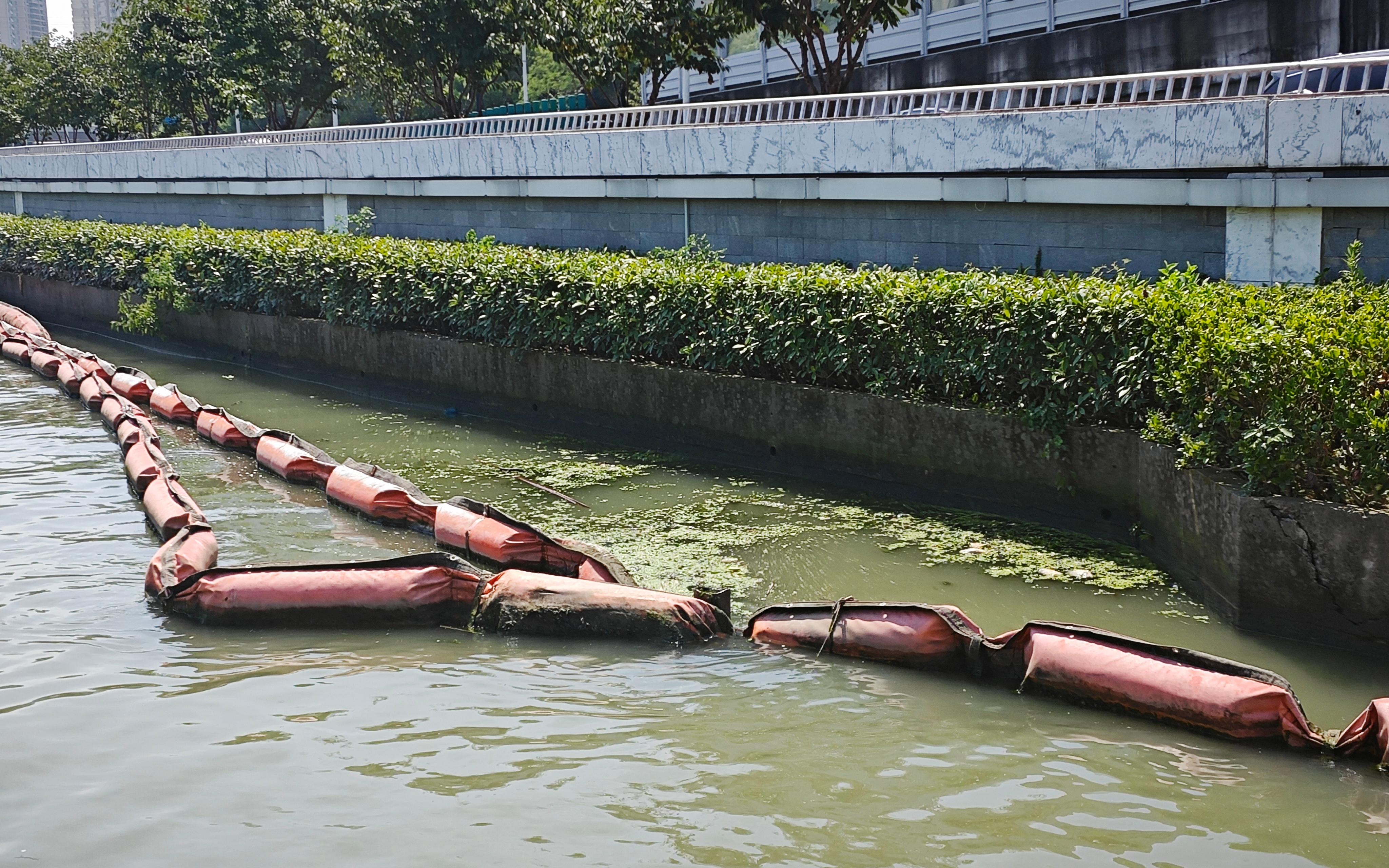 314 (5).jpg 314 (5).jpg