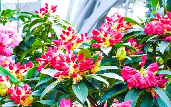 DSC09956.jpg DSC09956.jpg