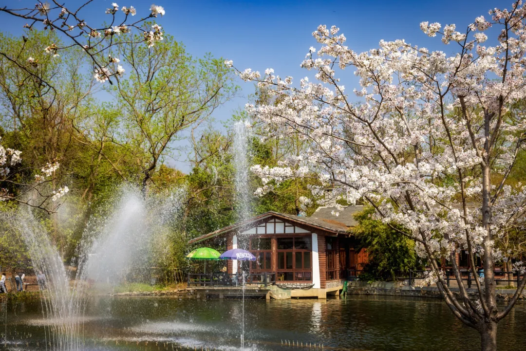 图片 7.png 图片 7.png