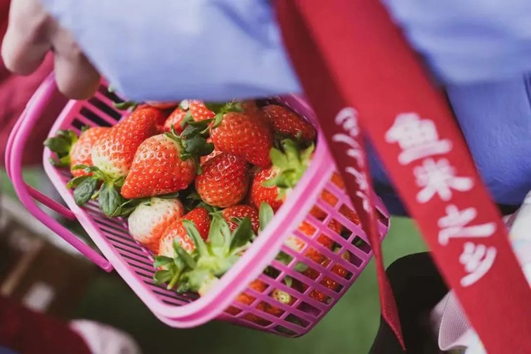 入选“国”字号!这几种青浦特色农产品,每一款都超赞~ 入选“国”字号!这几种青浦特色农产品,每一款都超赞~