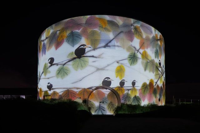 1015_141218_209.jpg 微信图片_20241015101756.jpg