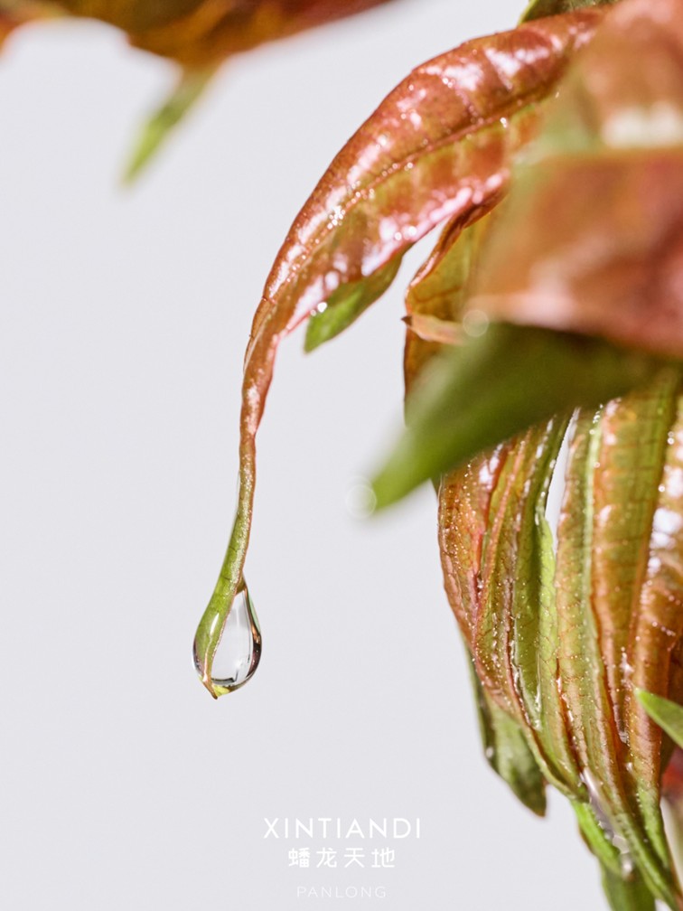 318青浦旅游日丨春日限定!青浦几大商场各出奇招,邀你和春光碰头! 318青浦旅游日丨春日限定!青浦几大商场各出奇招,邀你和春光碰头!