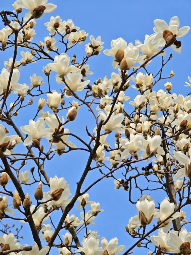 0317_160504_605.jpg 微信图片_2025-03-17_132251_226.jpg