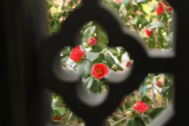 0407_121753_824.jpg 微信图片_2025-04-07_121414_246.jpg