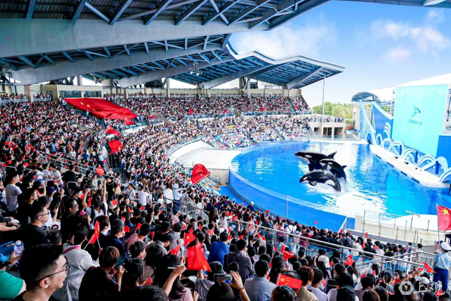 上海海昌海洋公园推出近200场演出和互动游戏,打造“沪上最长节目单”。记者 孟雨涵 通讯员 吴乐洁 摄.jpg