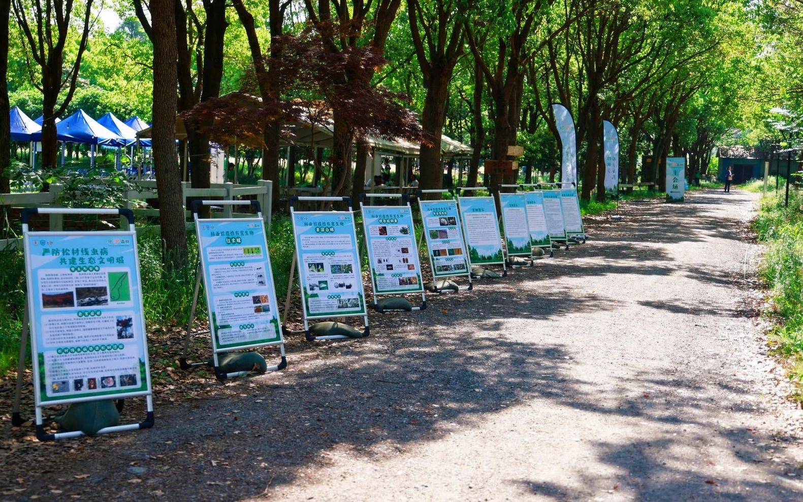 上海开展2024 年“林草生物灾害防控宣传周”系列活动1.jpg 上海开展2024 年“林草生物灾害防控宣传周”系列活动1.jpg