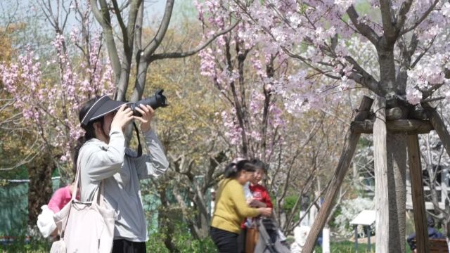 0327_121602_445.jpg 微信图片_2025-03-27_121703_757.jpg