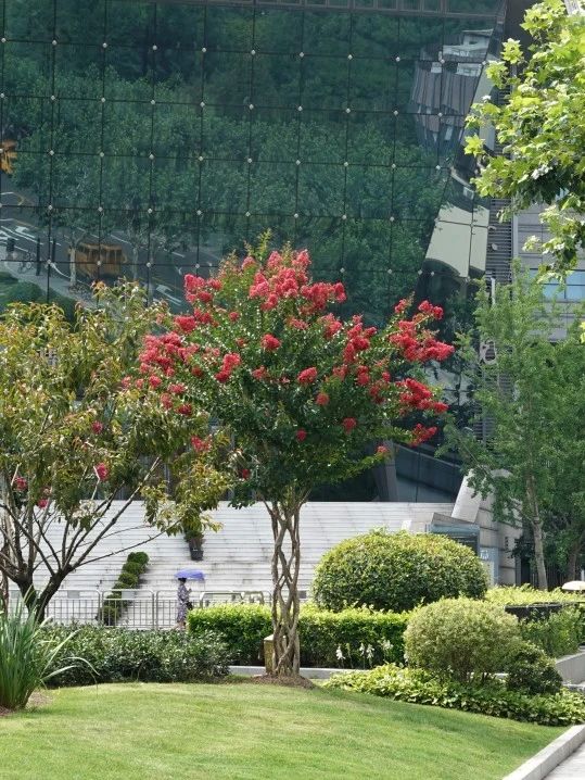 0830_141258_838.jpg 微信图片_20240830095910.jpg