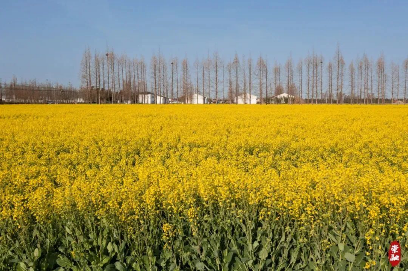 走396.png 走396.png