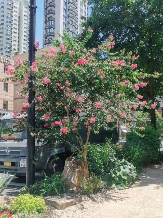 0830_141453_187.jpg 微信图片_20240830095919.jpg