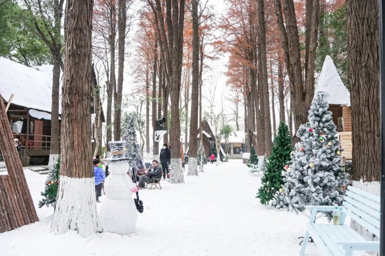 过大年·来青浦丨“蛇”我其谁~青浦近50场新春活动等你“过·来”玩! 过大年·来青浦丨“蛇”我其谁~青浦近50场新春活动等你“过·来”玩!