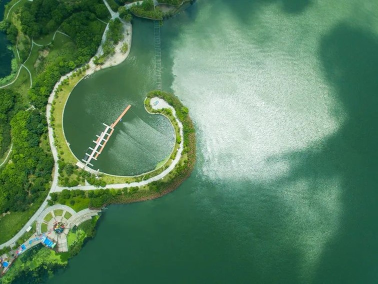 跟着半马游青浦|收藏!带你玩转线路周边吃喝玩乐全攻略! 跟着半马游青浦|收藏!带你玩转线路周边吃喝玩乐全攻略!