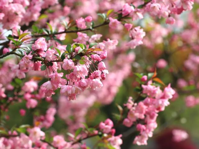 0307_144721_737.jpg 微信图片_2025-03-07_103703_465.png