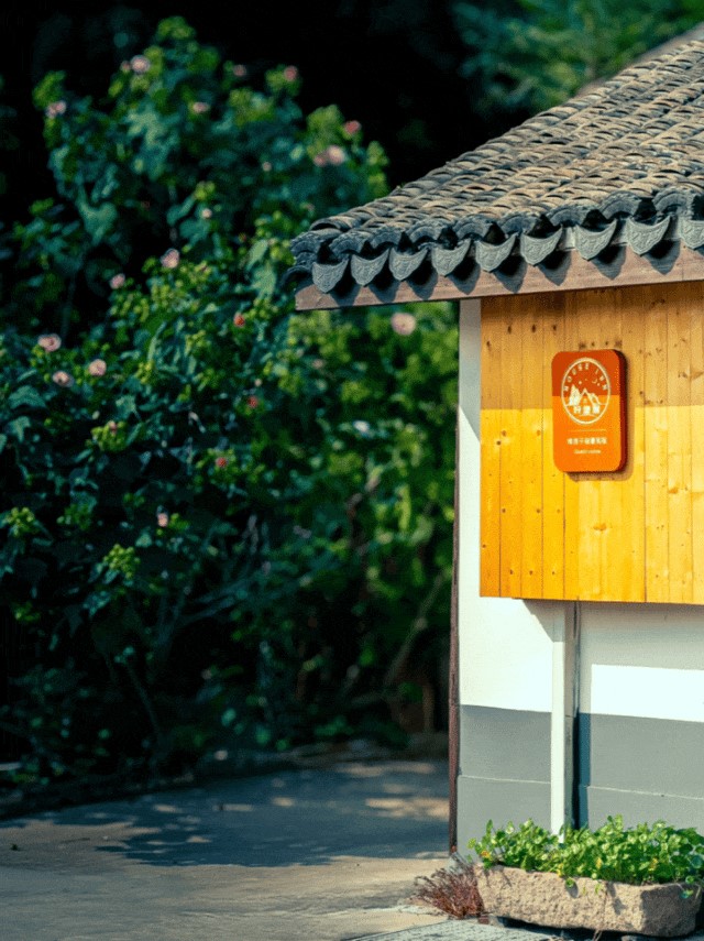 左拥乡野,右枕星河!青浦这几家雅居入选2024市级乡村民宿! 左拥乡野,右枕星河!青浦这几家雅居入选2024市级乡村民宿!