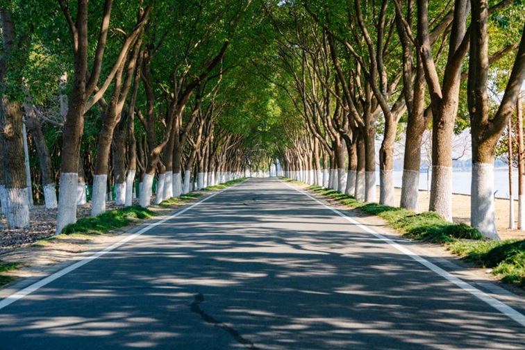 来青浦,骑行在青西“大河大湖”,太酷了! 来青浦,骑行在青西“大河大湖”,太酷了!