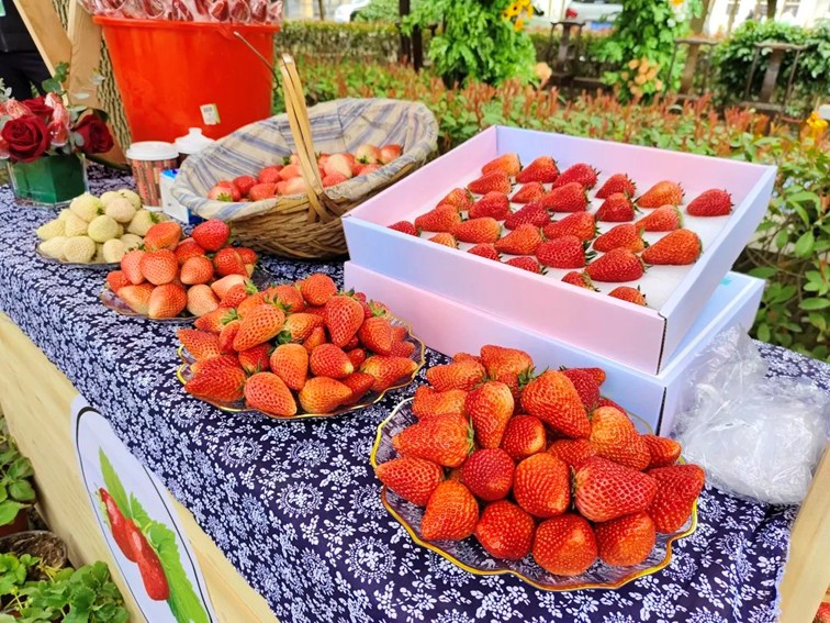 入选“国”字号!这几种青浦特色农产品,每一款都超赞~ 入选“国”字号!这几种青浦特色农产品,每一款都超赞~