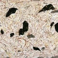 1015_141305_163.jpg 微信图片_20241015101806.jpg