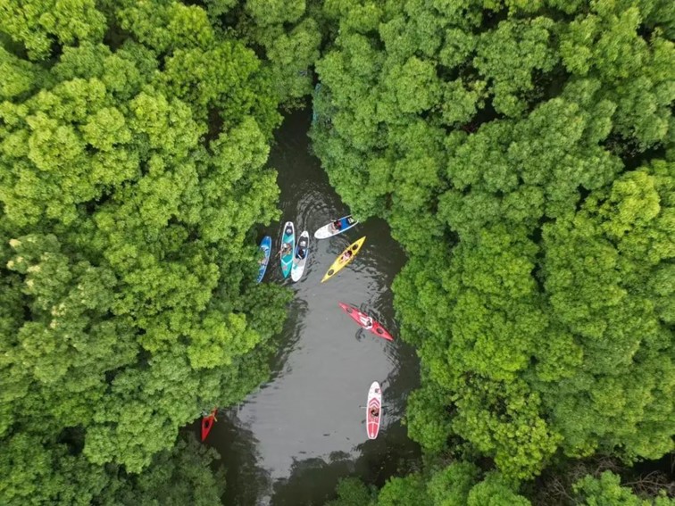 跟着半马游青浦|收藏!带你玩转线路周边吃喝玩乐全攻略! 跟着半马游青浦|收藏!带你玩转线路周边吃喝玩乐全攻略!