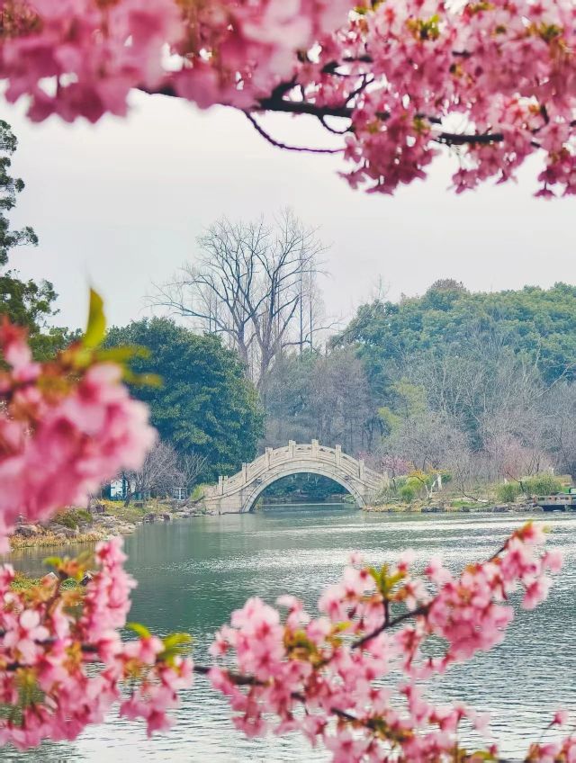 0327_121623_287.jpg 微信图片_2025-03-27_121712_577.jpg