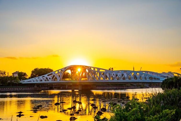 冬日“沪”水游,青浦新城:冬境绮梦,水韵流长 冬日“沪”水游,青浦新城:冬境绮梦,水韵流长