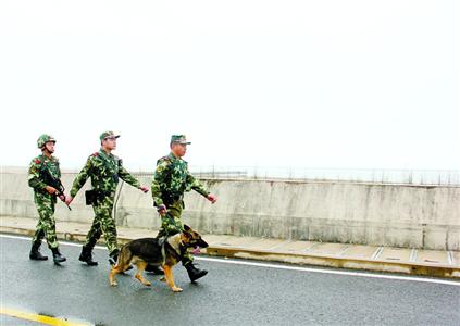 青草沙水库:51名战士的守护 青草沙水库:51名战士的守护