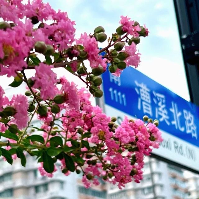 0830_141244_773.jpg 微信图片_20240830095904.jpg