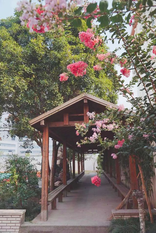 0829_143607_847.jpg 微信图片_20240829094949.jpg