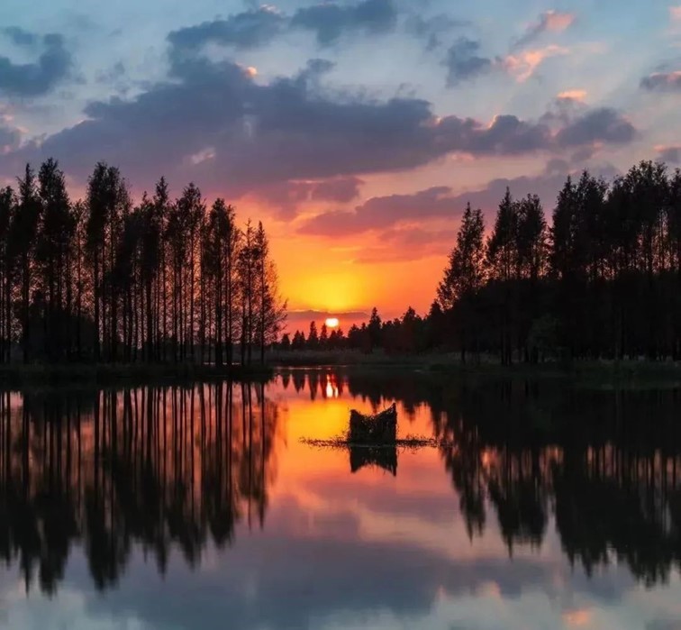 秋水伊人,来青浦,乘坐公共交通邂逅初秋水岸的一缕风凉! 秋水伊人,来青浦,乘坐公共交通邂逅初秋水岸的一缕风凉!
