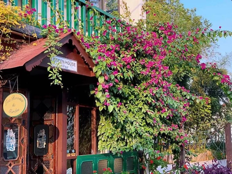 一二三四|青浦秋日疗愈系轻居,每一家都想住一遍…… 一二三四|青浦秋日疗愈系轻居,每一家都想住一遍……