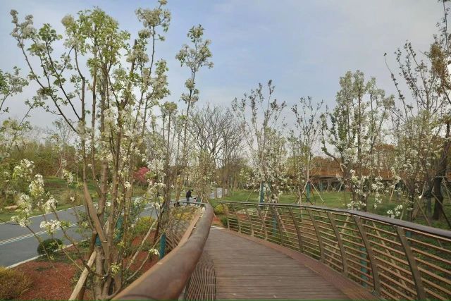 0407_121659_954.jpg 微信图片_2025-04-07_121405_540.jpg