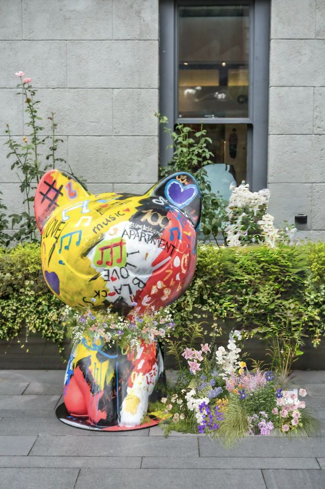 0427_124629_584.jpg 微信图片_2025-04-27_124646_590.png