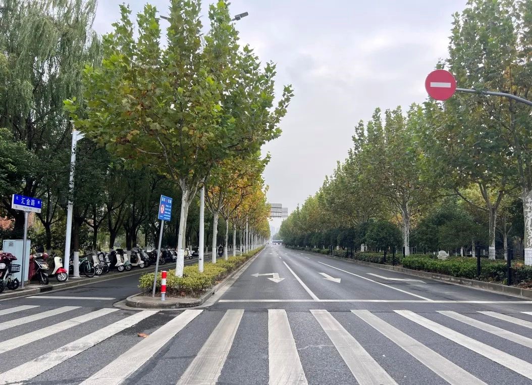 2024长三角·青浦新城半程马拉松赛交通管制公告 2024长三角·青浦新城半程马拉松赛交通管制公告