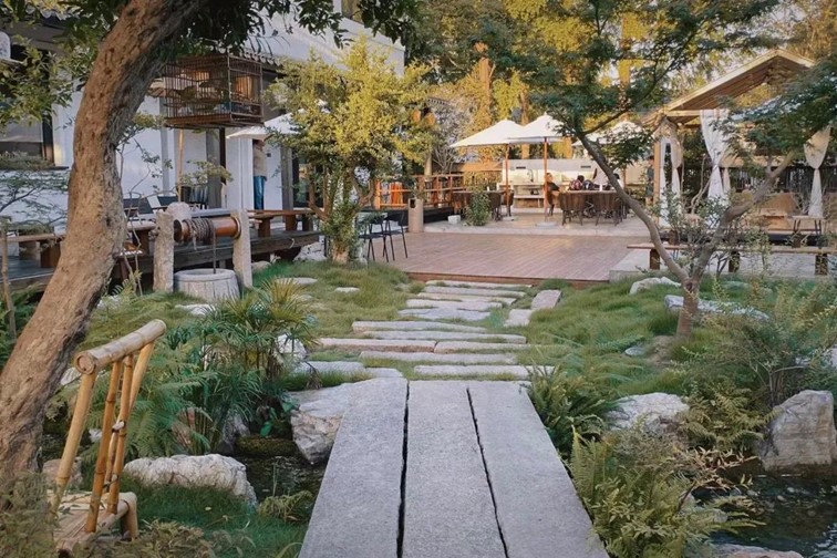 会·聚青浦|这些沪郊雅宿一到秋天就美翻,田园小院赏秋不扎堆 会·聚青浦|这些沪郊雅宿一到秋天就美翻,田园小院赏秋不扎堆